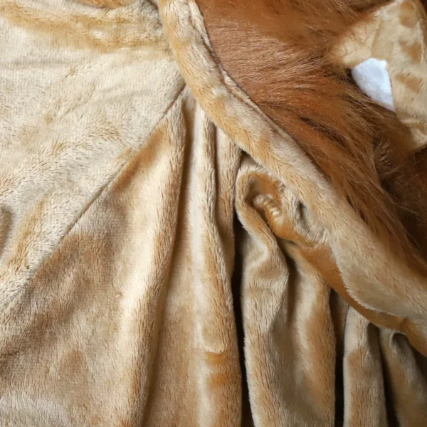 Cape fourrure Lion – Image 3