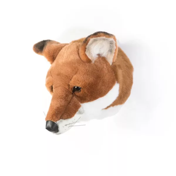 Tête renard – Image 2