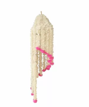 Suspension indienne