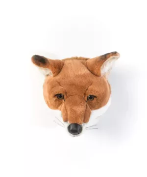 Tête renard