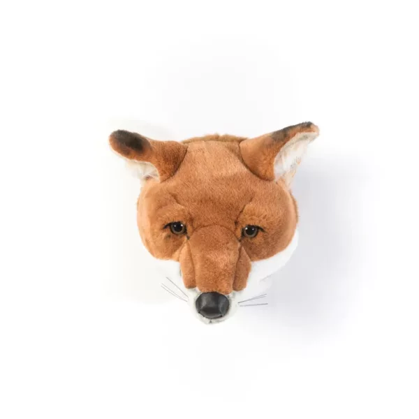 Tête renard