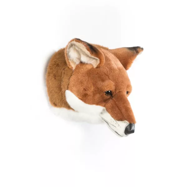Tête renard – Image 3