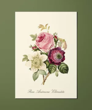 Carte Fleurs Rose - Anémone - Clématite