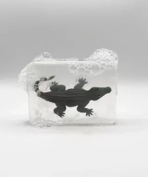 Savon | Crocodile
