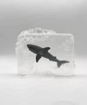 Savon | Requin
