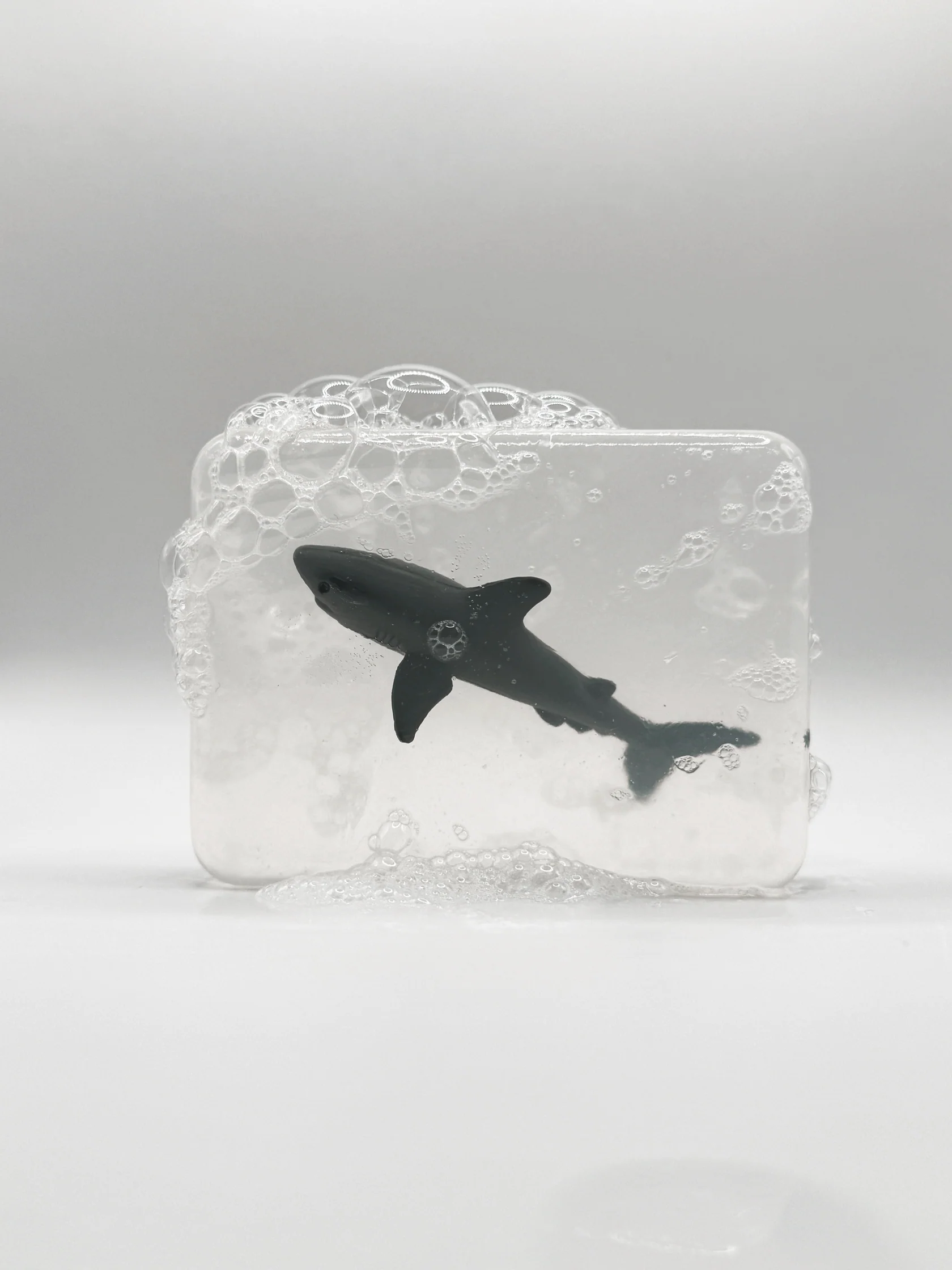 Savon | Requin